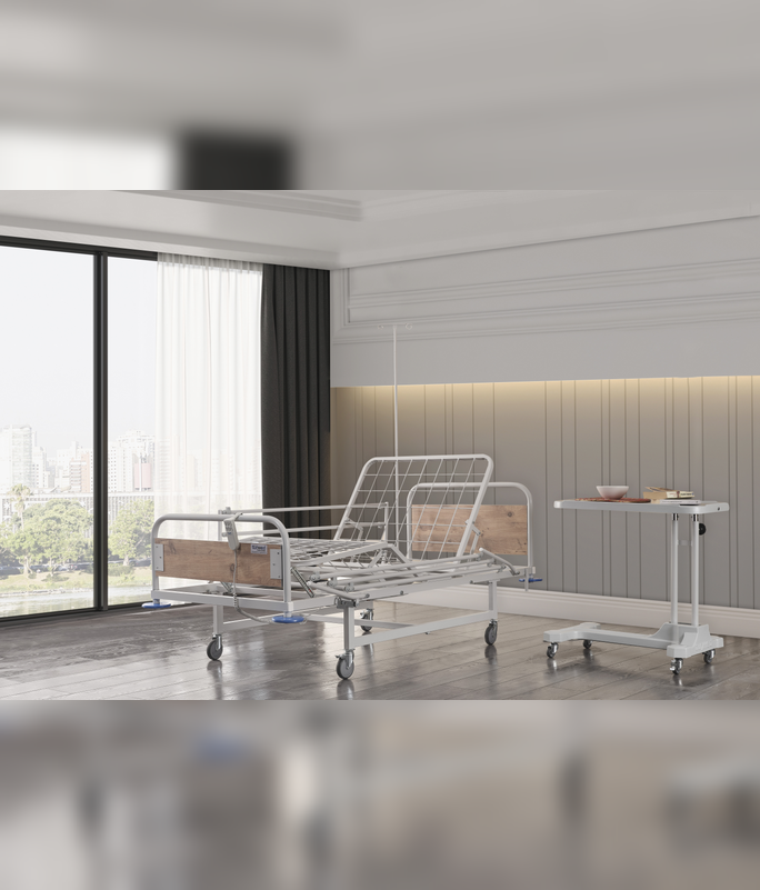 HASTA KARYOLASI (DUAL MOTOR) 4034